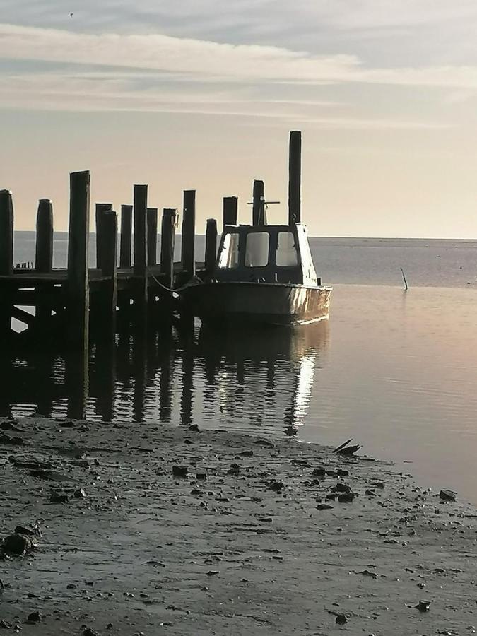 Bed and Breakfast Dock10Texel Де-Коксдорп Екстер'єр фото